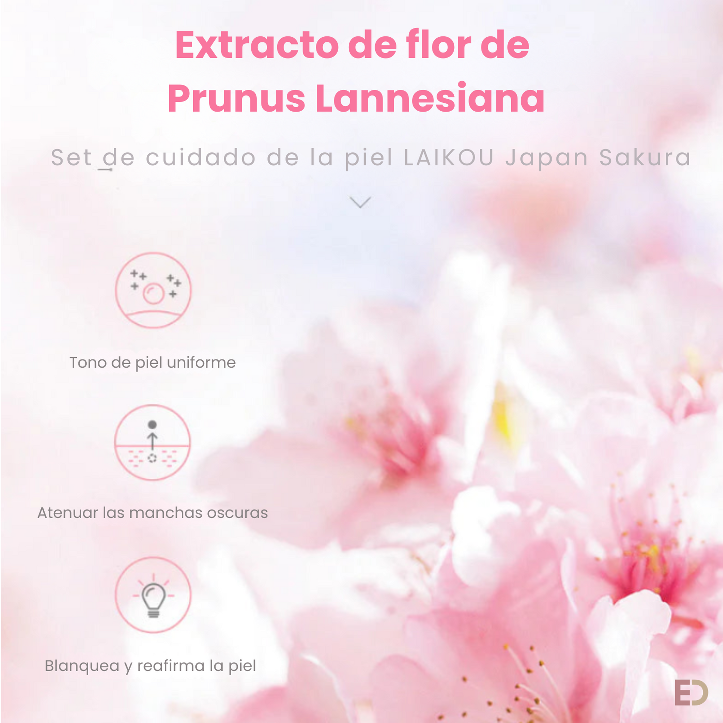Kit de Cuidado de la Piel